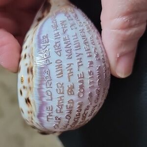 Vintage Cowrie Sea Shell with Lords Prayer Inscribed Christian Gift